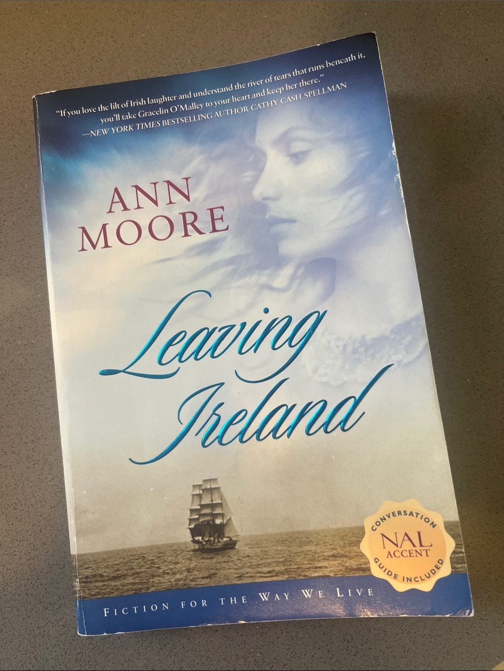Ann Moore Leaving Ireland paperback book - cream, blue